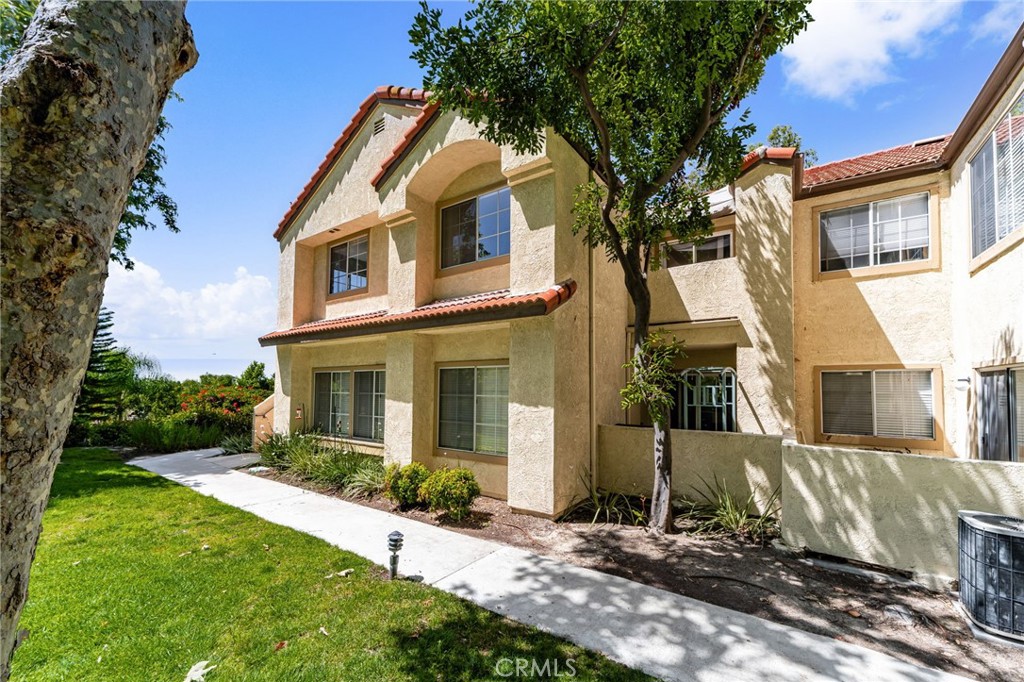 21256 Camelia