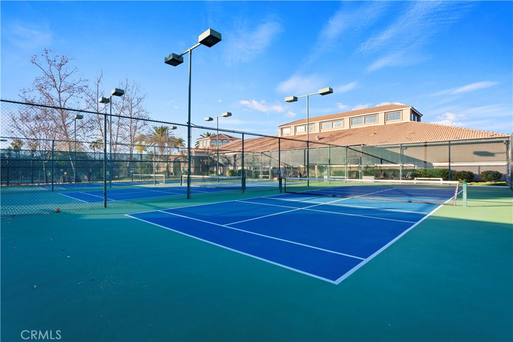 24172 Calle Artino
