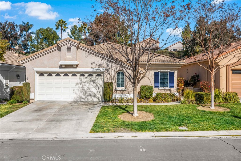 24172 Calle Artino