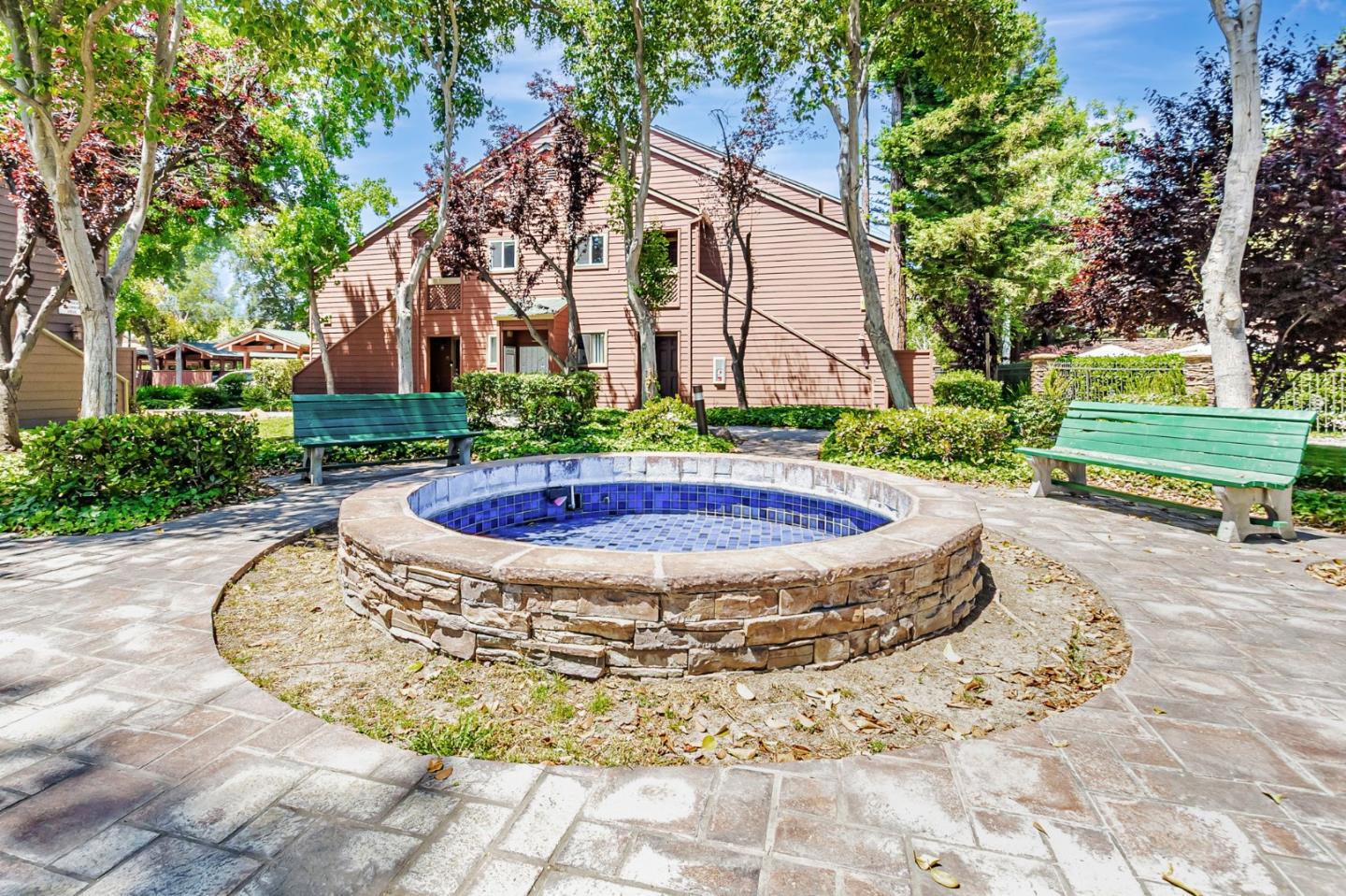 929 Catkin CT