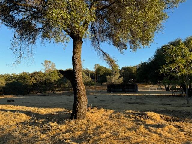 4161 Misty Creek Court