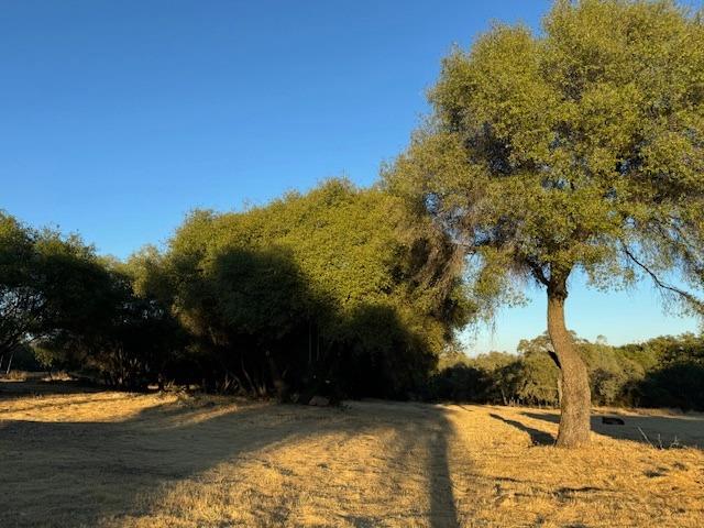 4161 Misty Creek Court