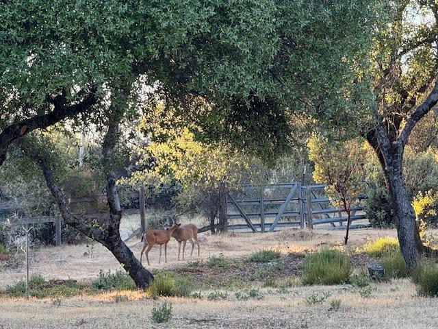 4161 Misty Creek Court