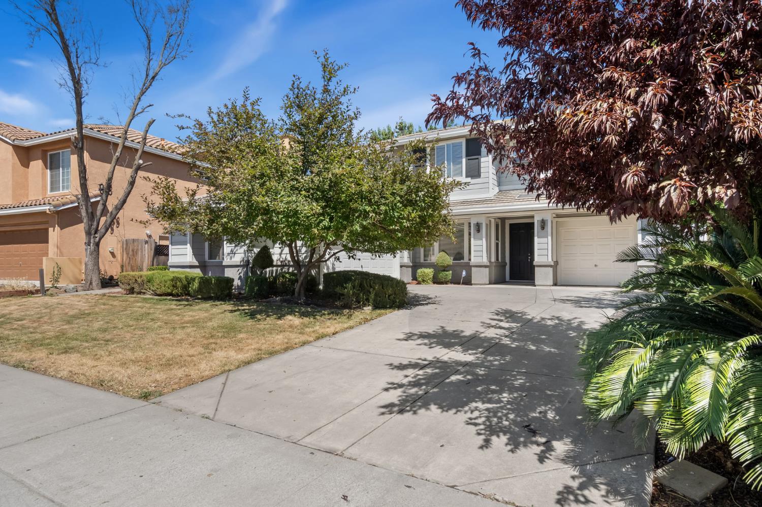 3907 Ginko Way