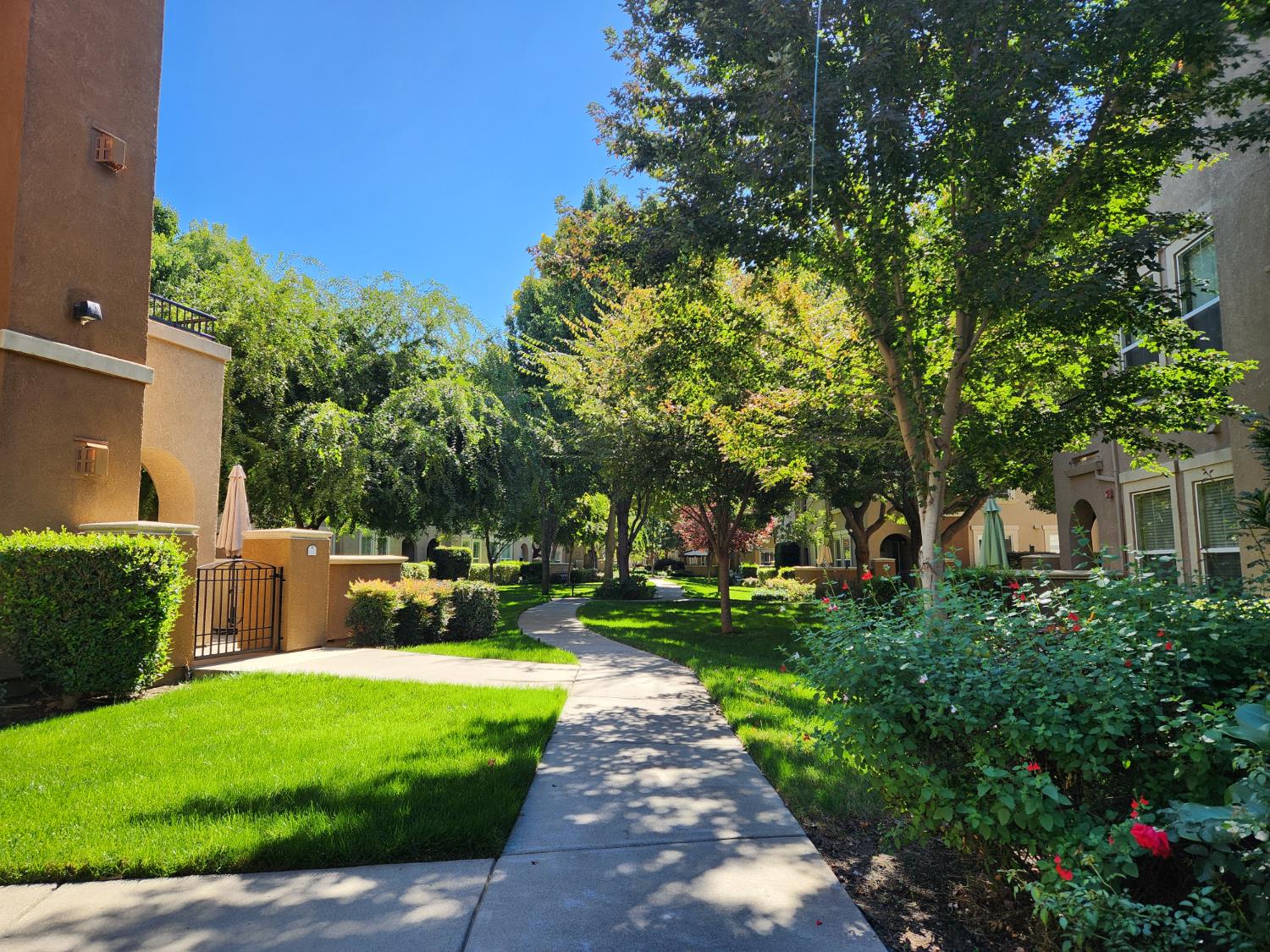 1387 Milano Drive 1