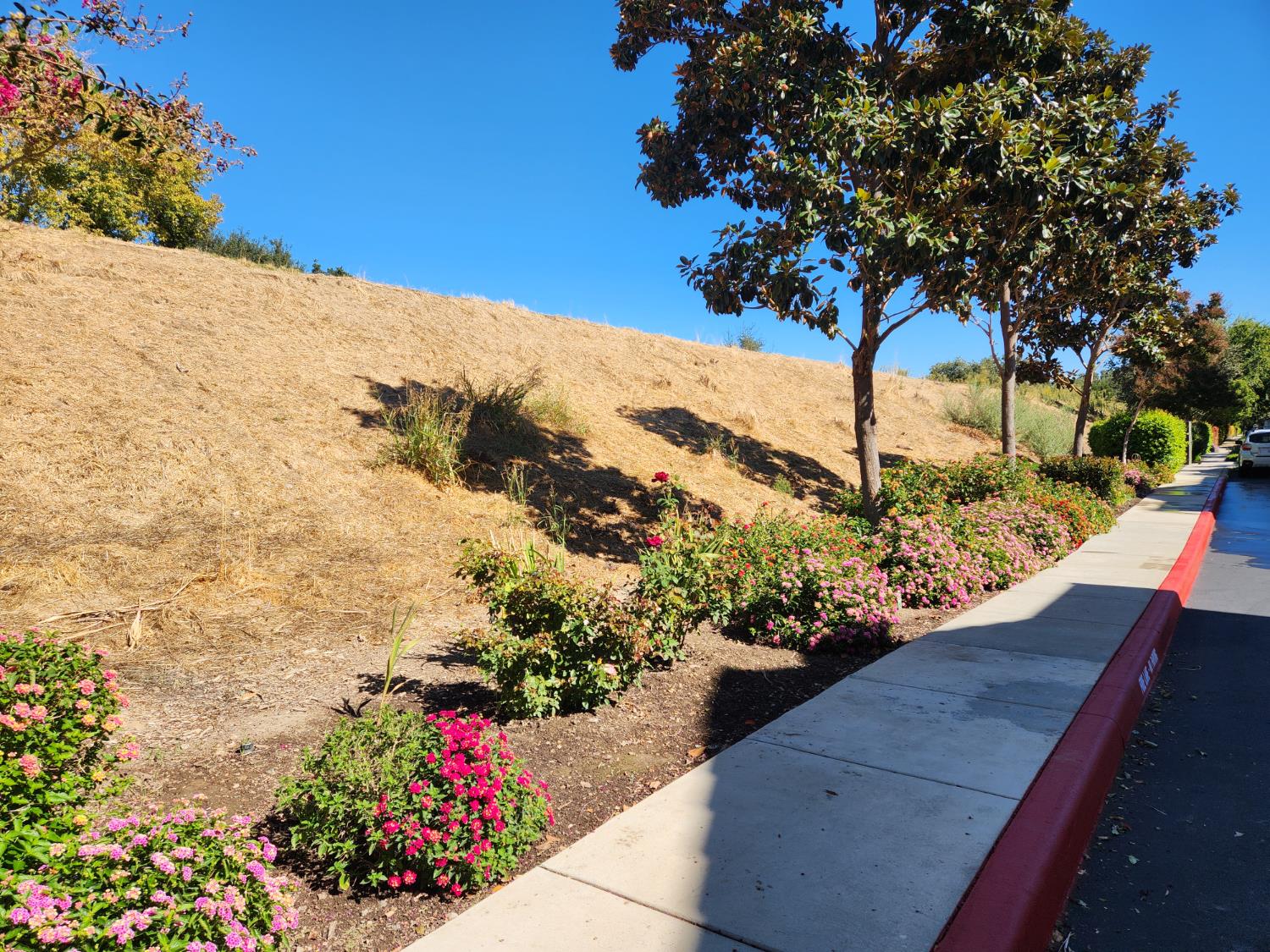 1387 Milano Drive 1