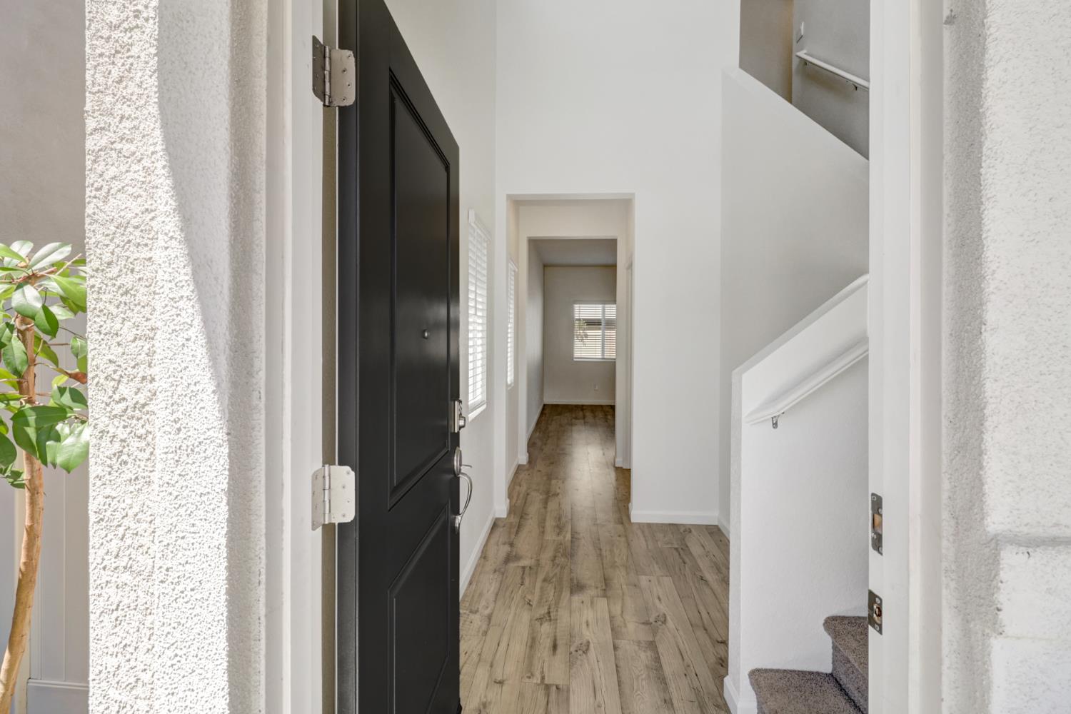 2887 Krone Way