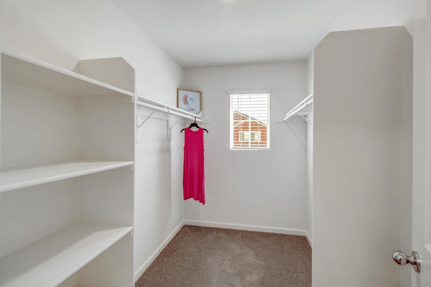2887 Krone Way
