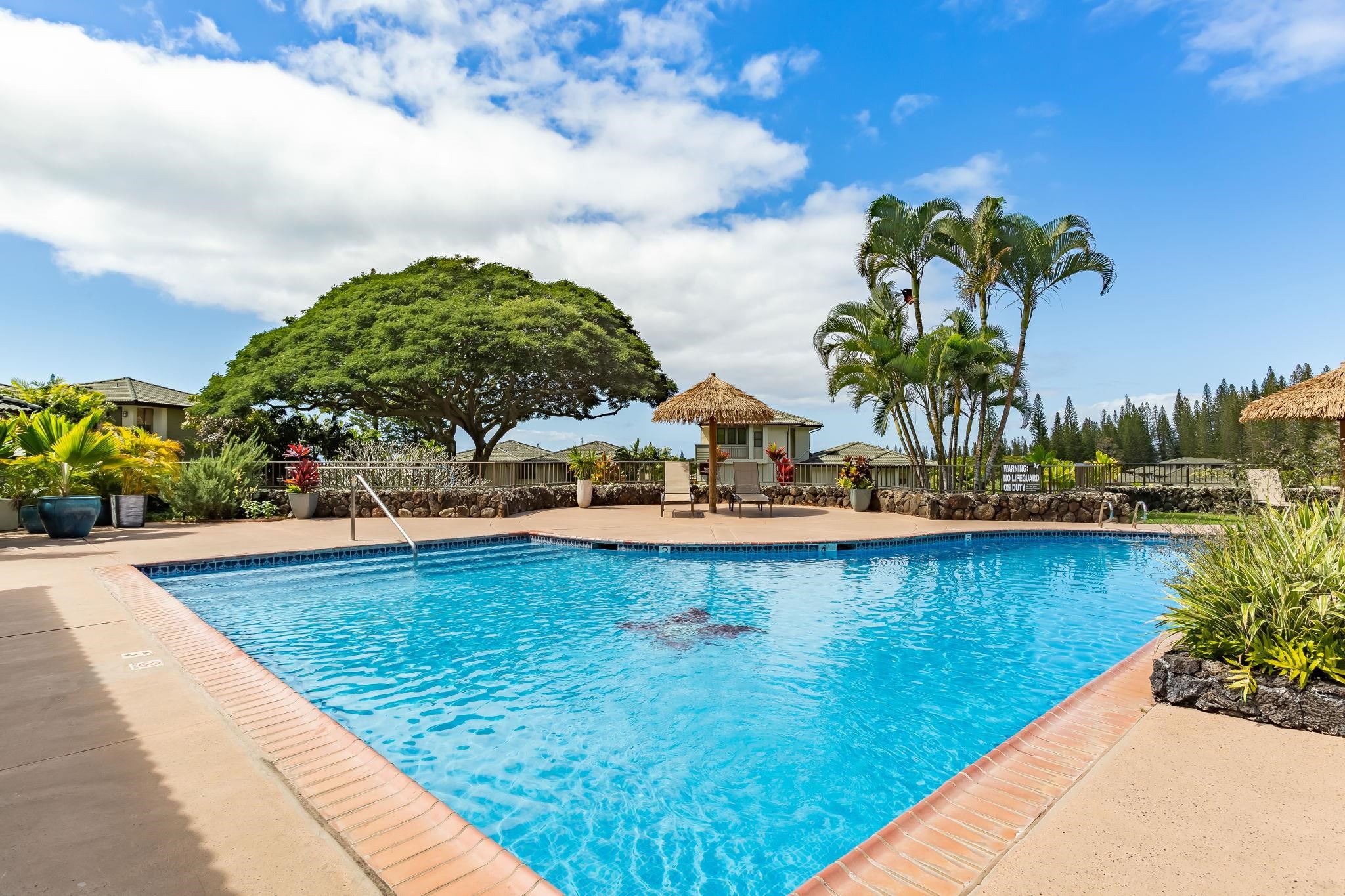 500 KAPALUA Dr Unit: 21P34