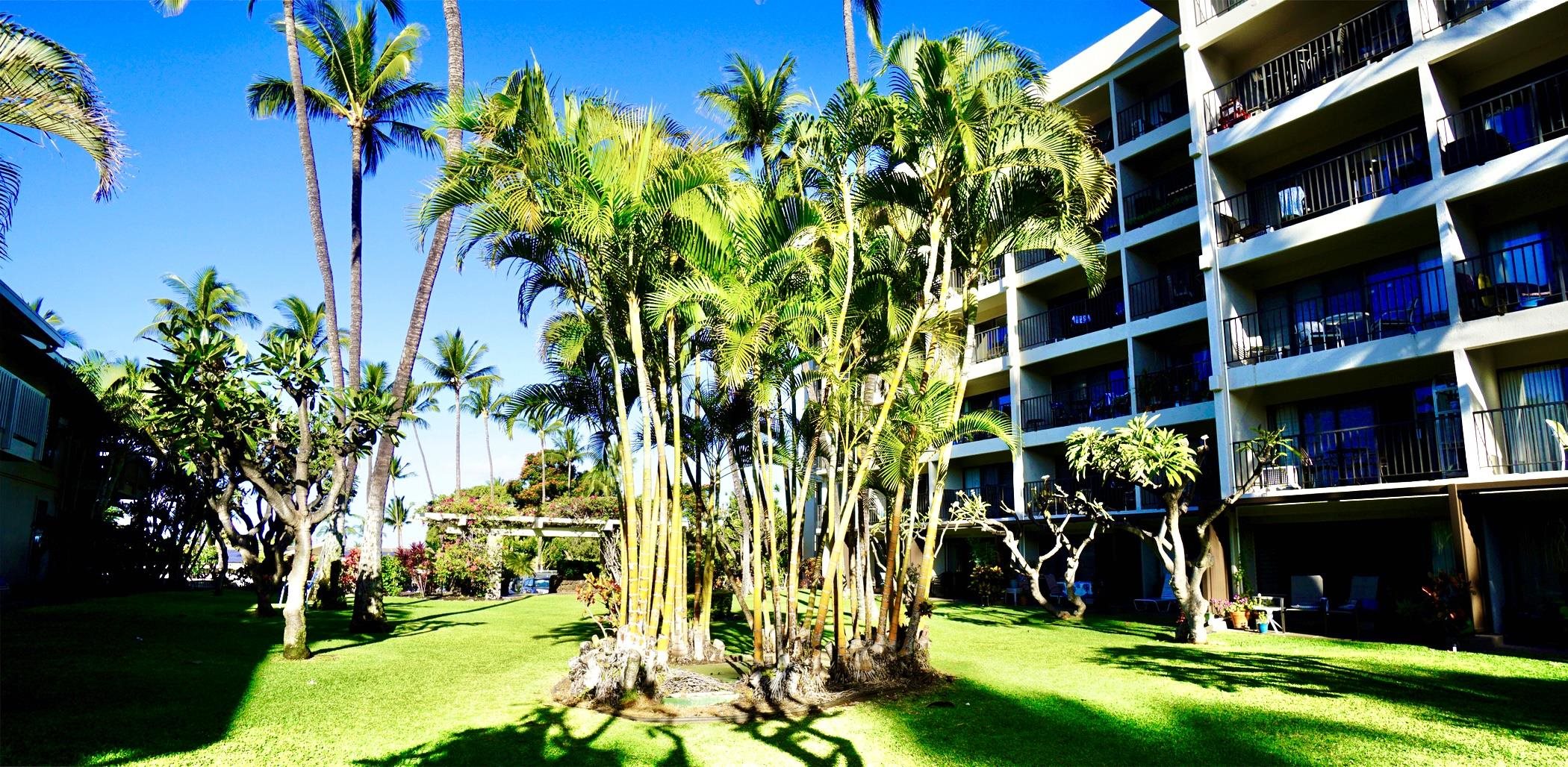 2531 S Kihei Rd Unit: D 410
