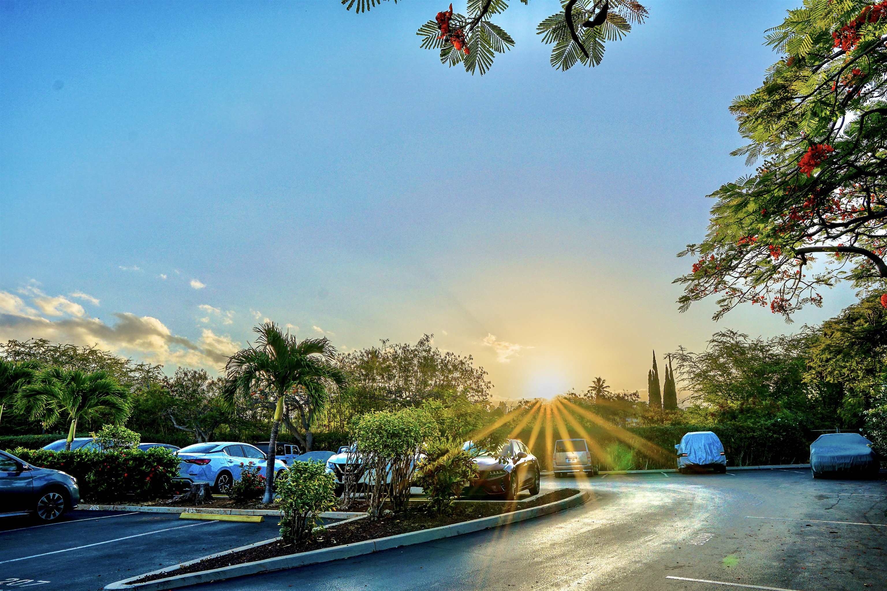 2531 S Kihei Rd Unit: D 410