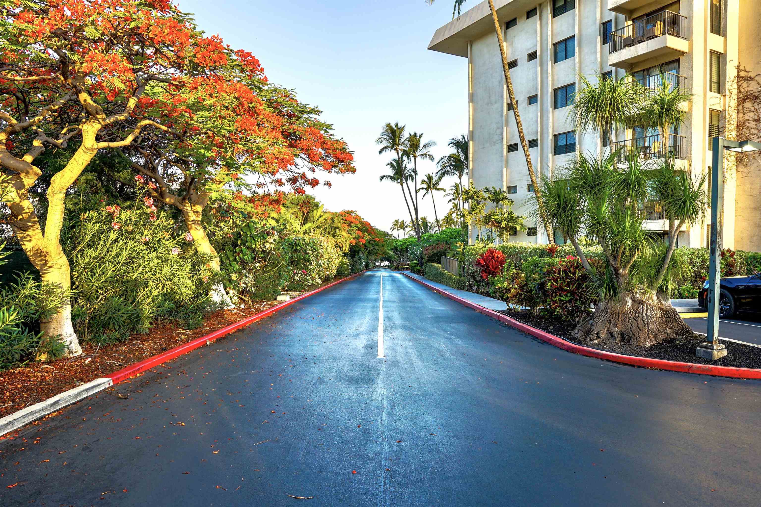 2531 S Kihei Rd Unit: D 410