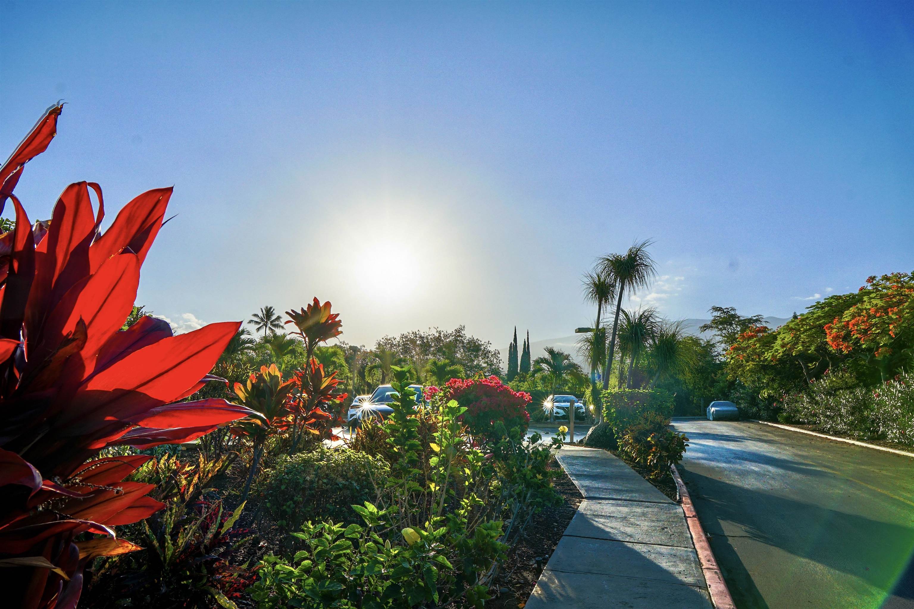 2531 S Kihei Rd Unit: D 410