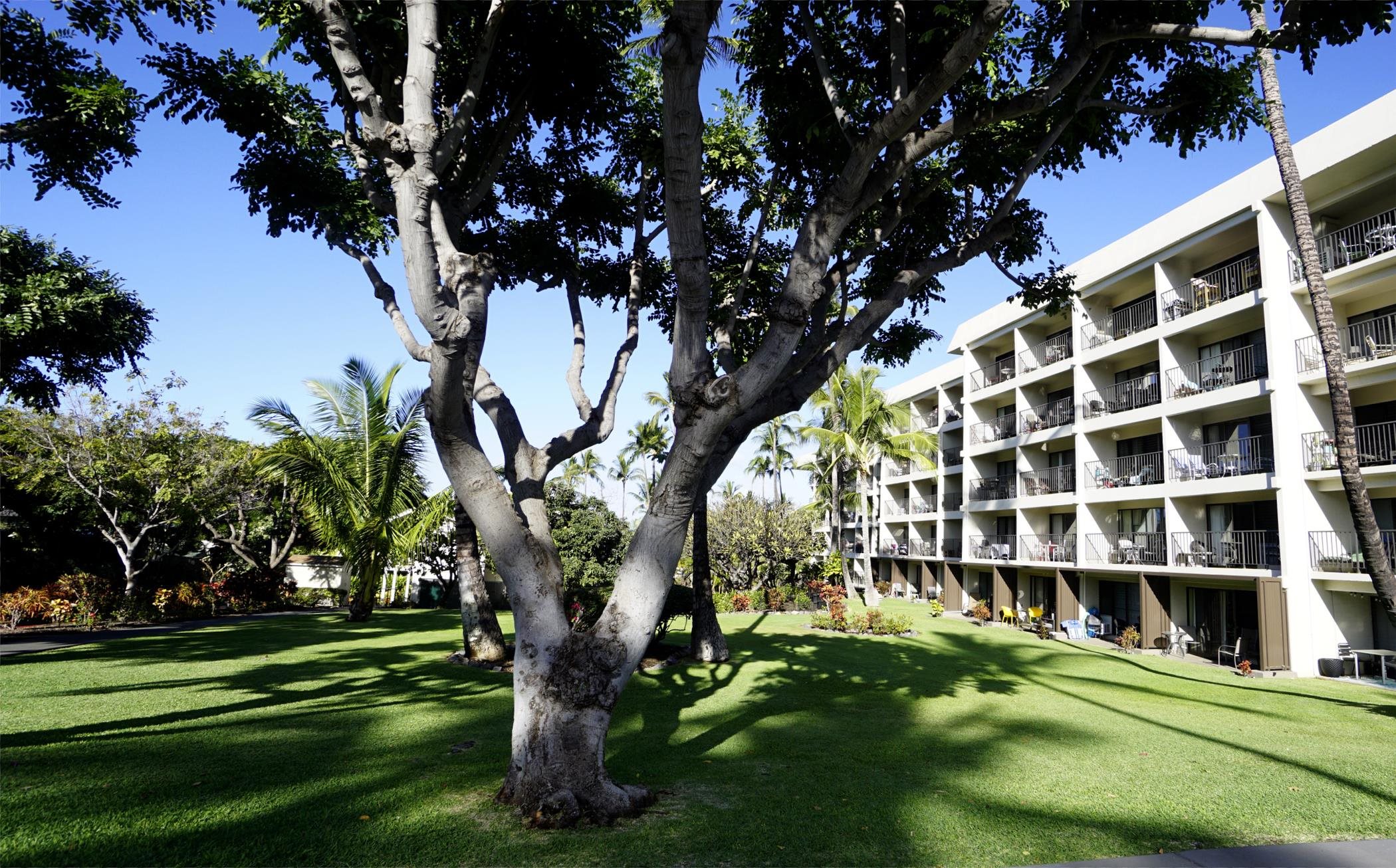 2531 S Kihei Rd Unit: D 410