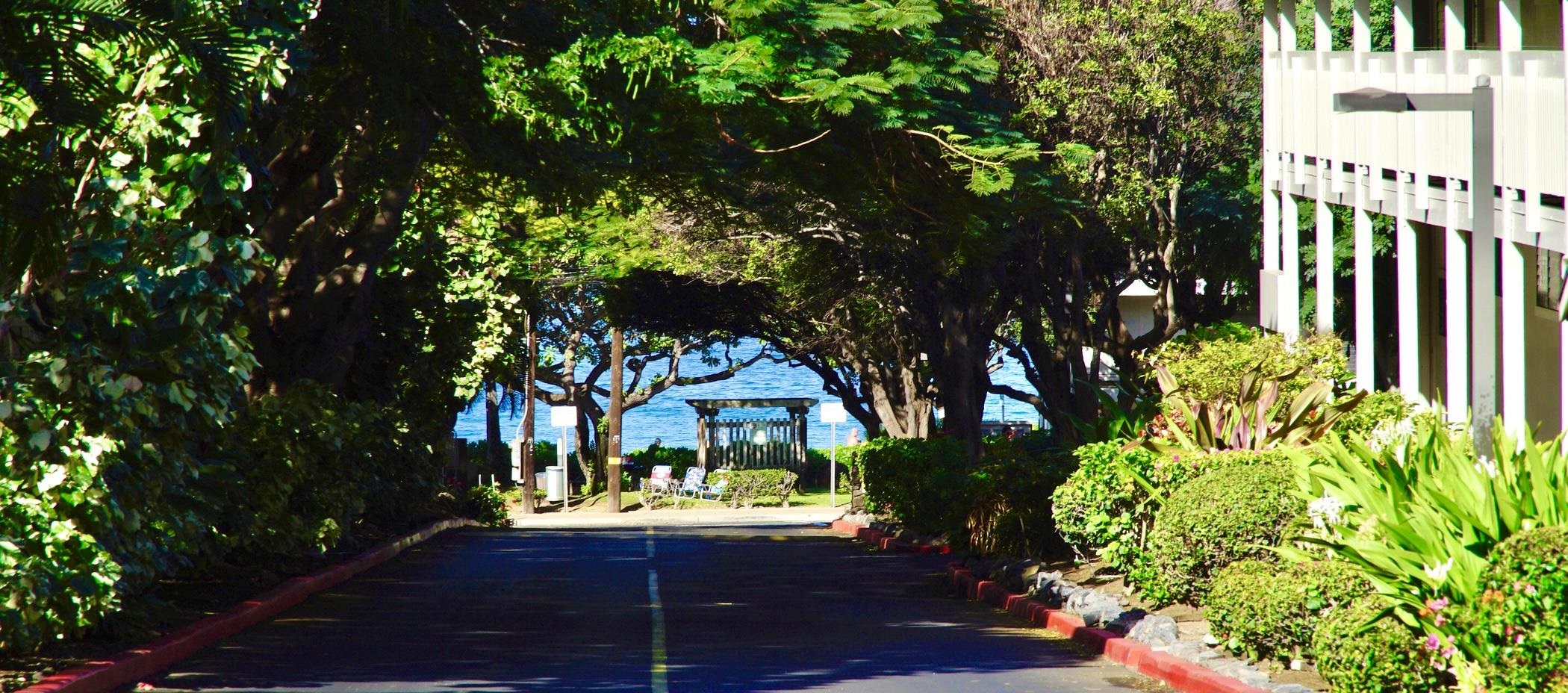 2531 S Kihei Rd Unit: D 410