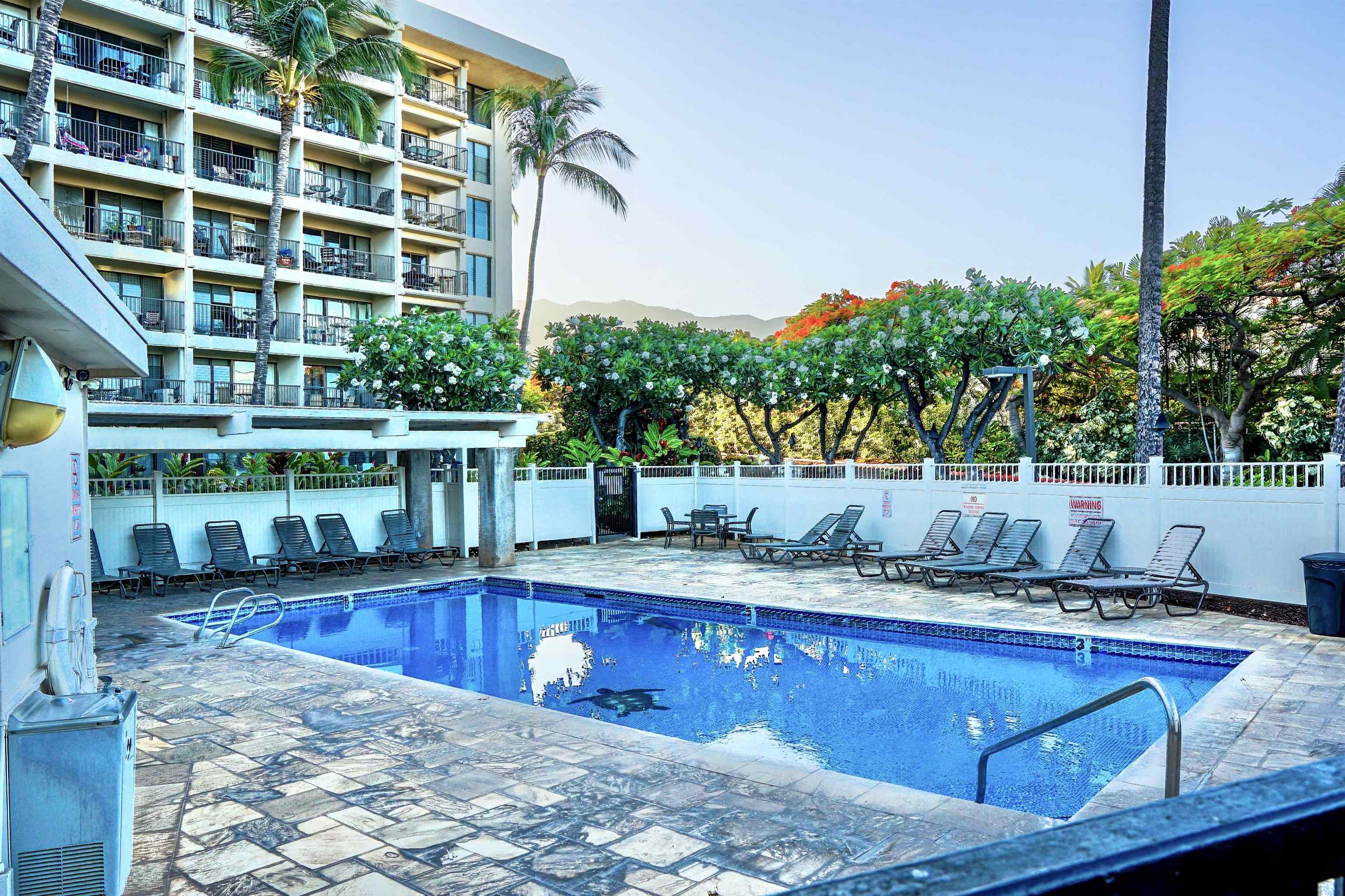 2531 S Kihei Rd Unit: D 410