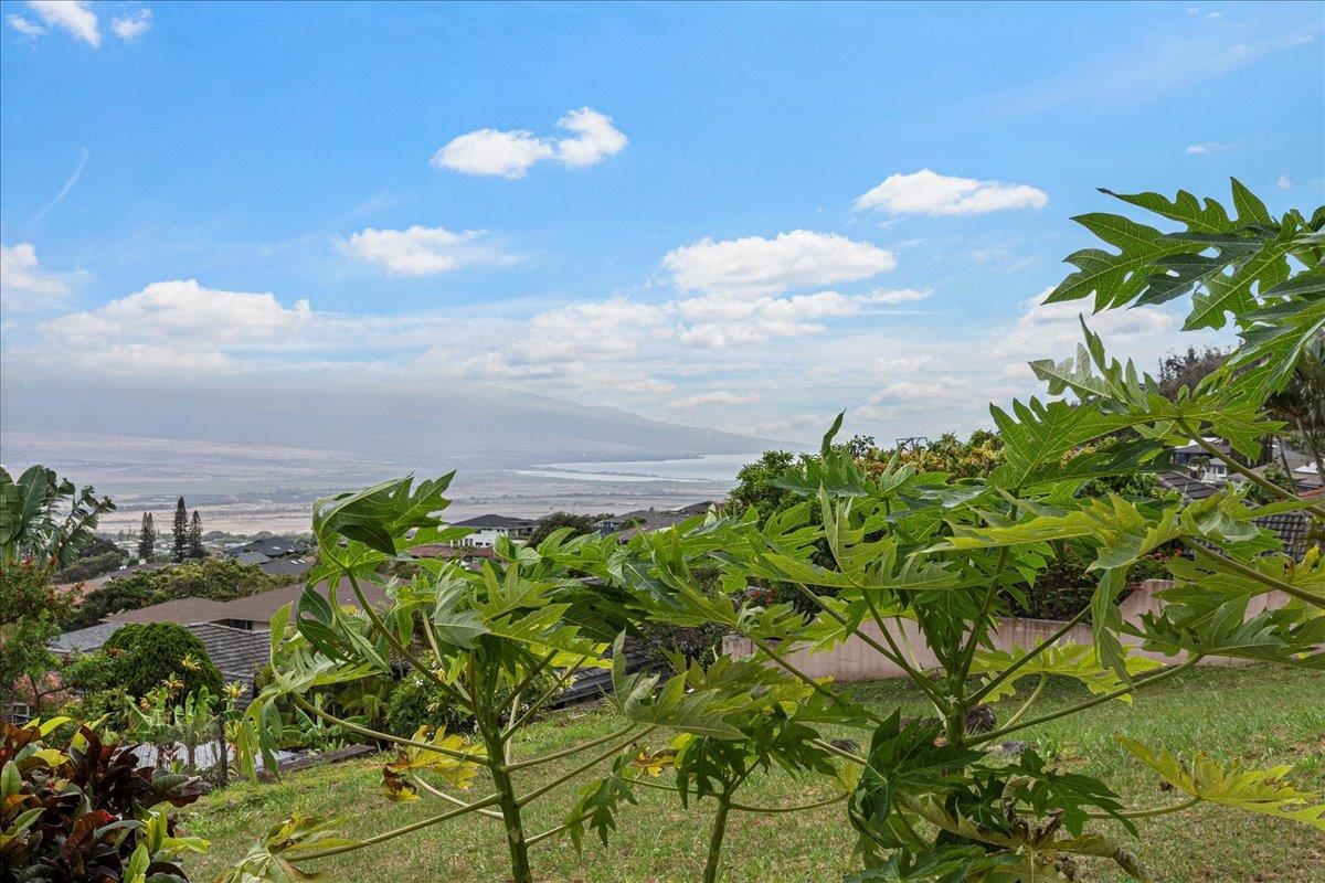 545 Iiwi Way