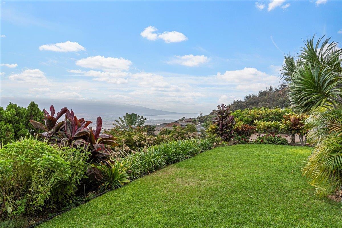 545 Iiwi Way