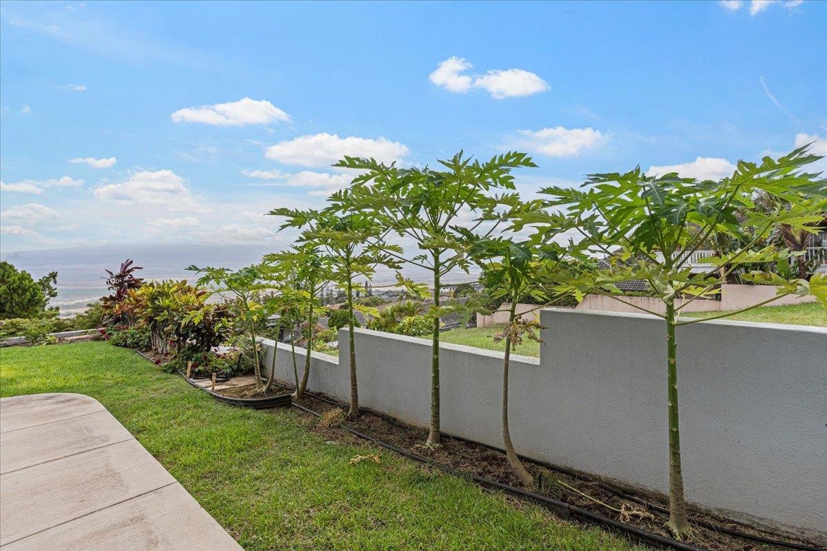 545 Iiwi Way