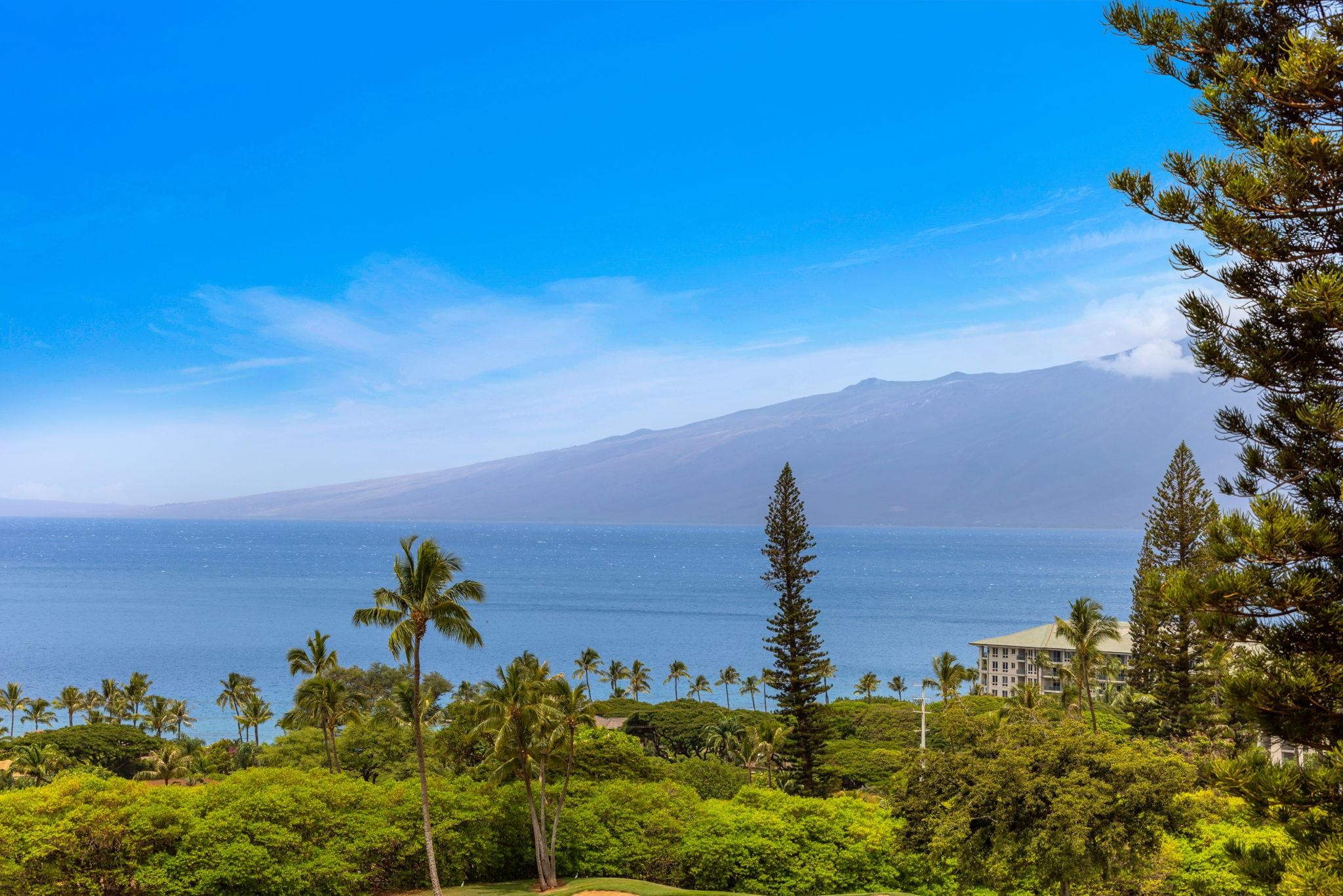 50 PUU ANOANO St Unit: 706