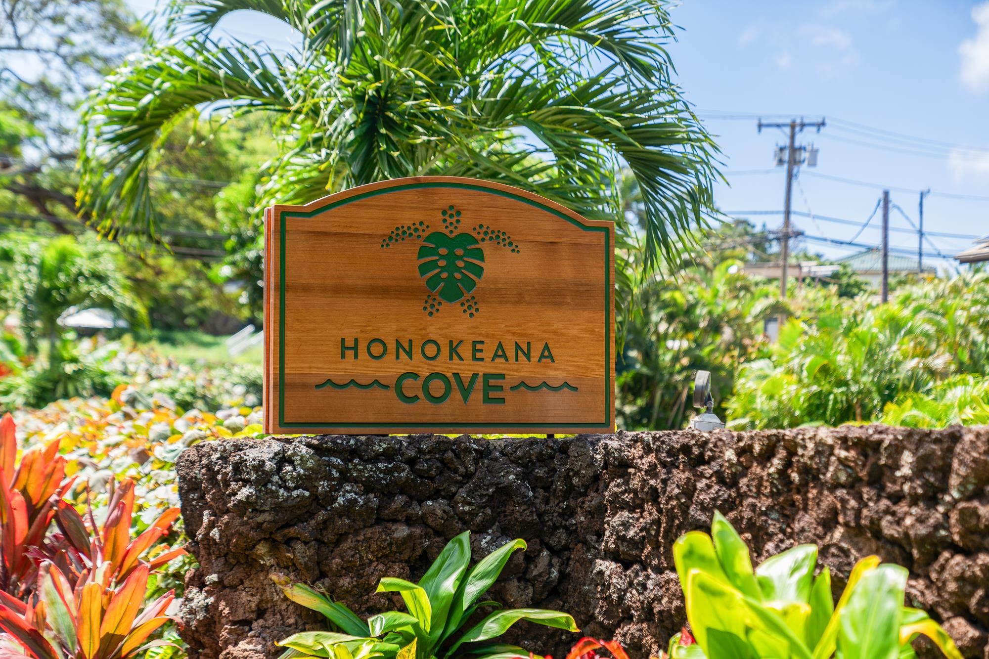 5255 Lower Honoapiilani Rd Unit: 207