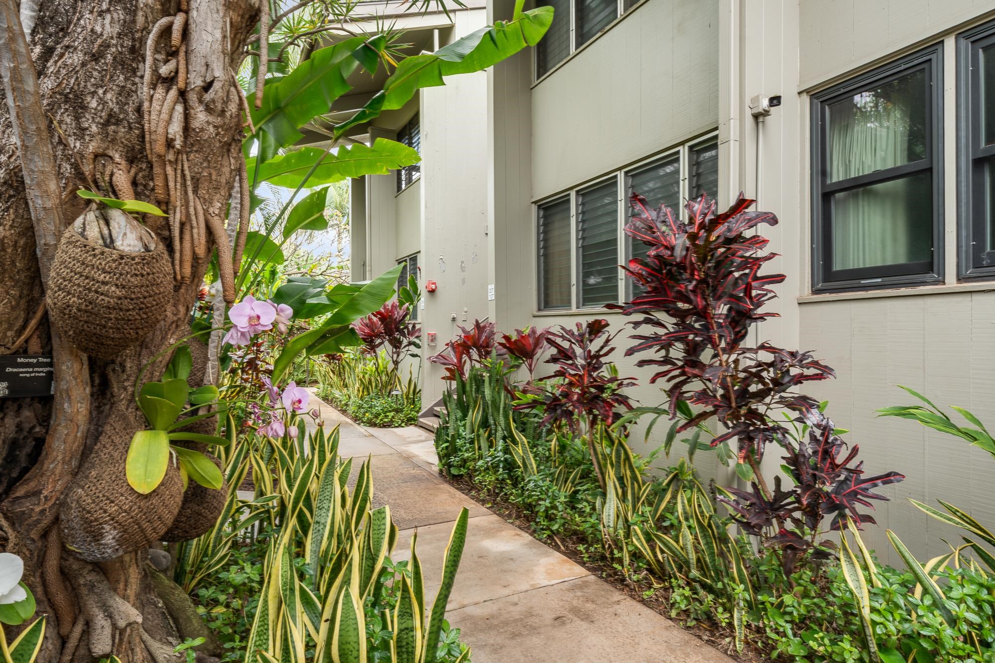 5255 Lower Honoapiilani Rd Unit: 207