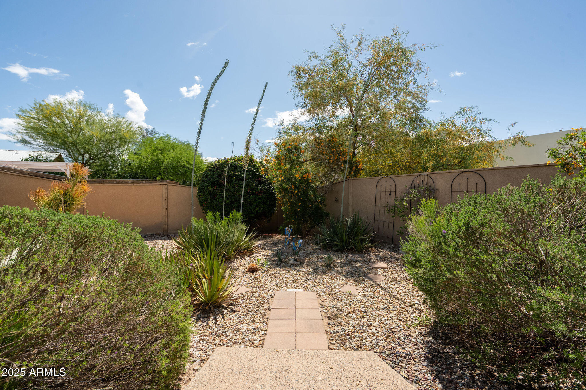 1221 E CHOLLA Street