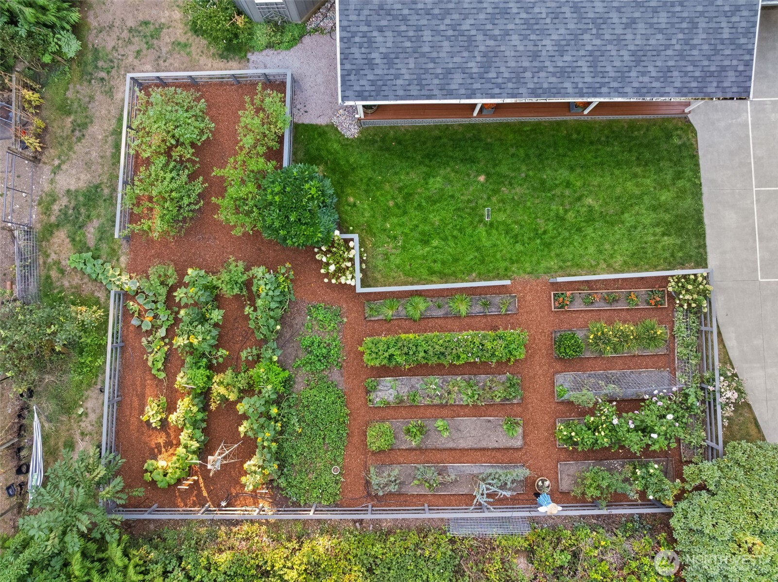 12490 Yellow Brick Road