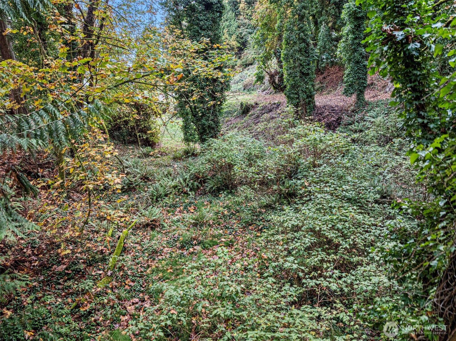 2004 Lybecker Drive NW