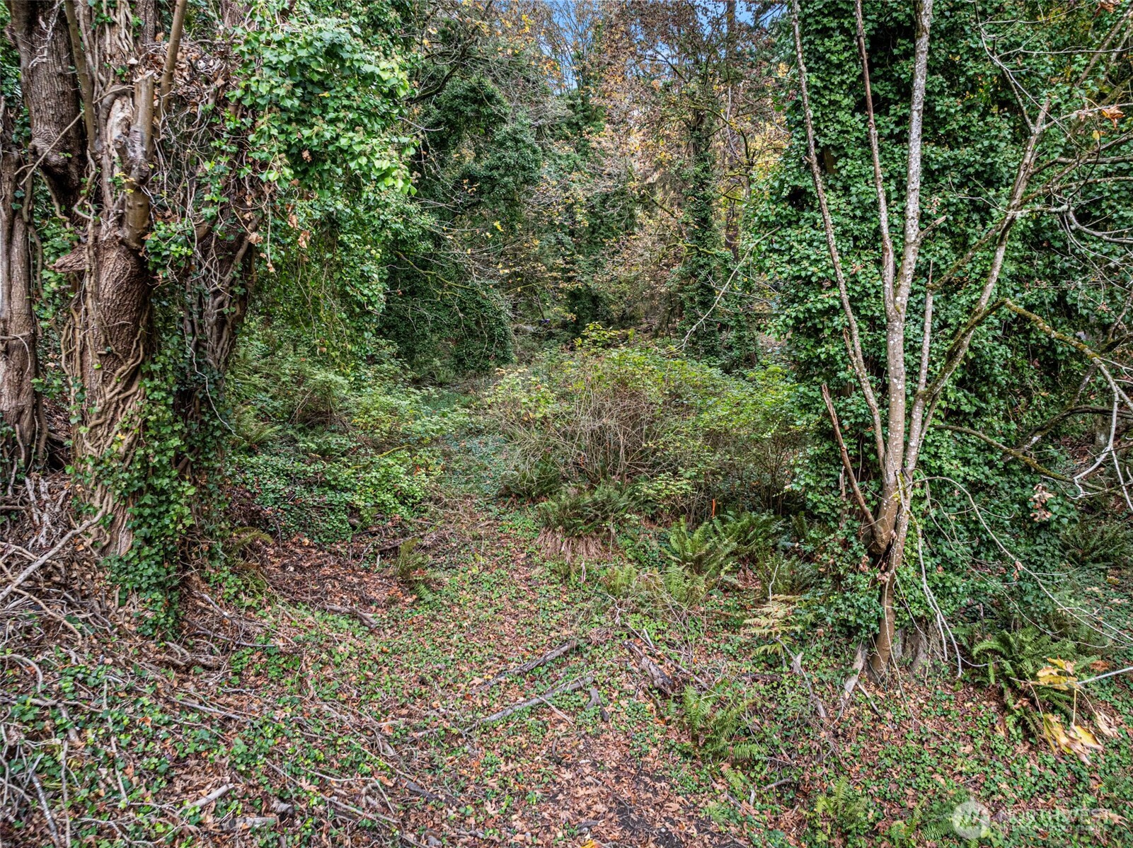 2004 Lybecker Drive NW