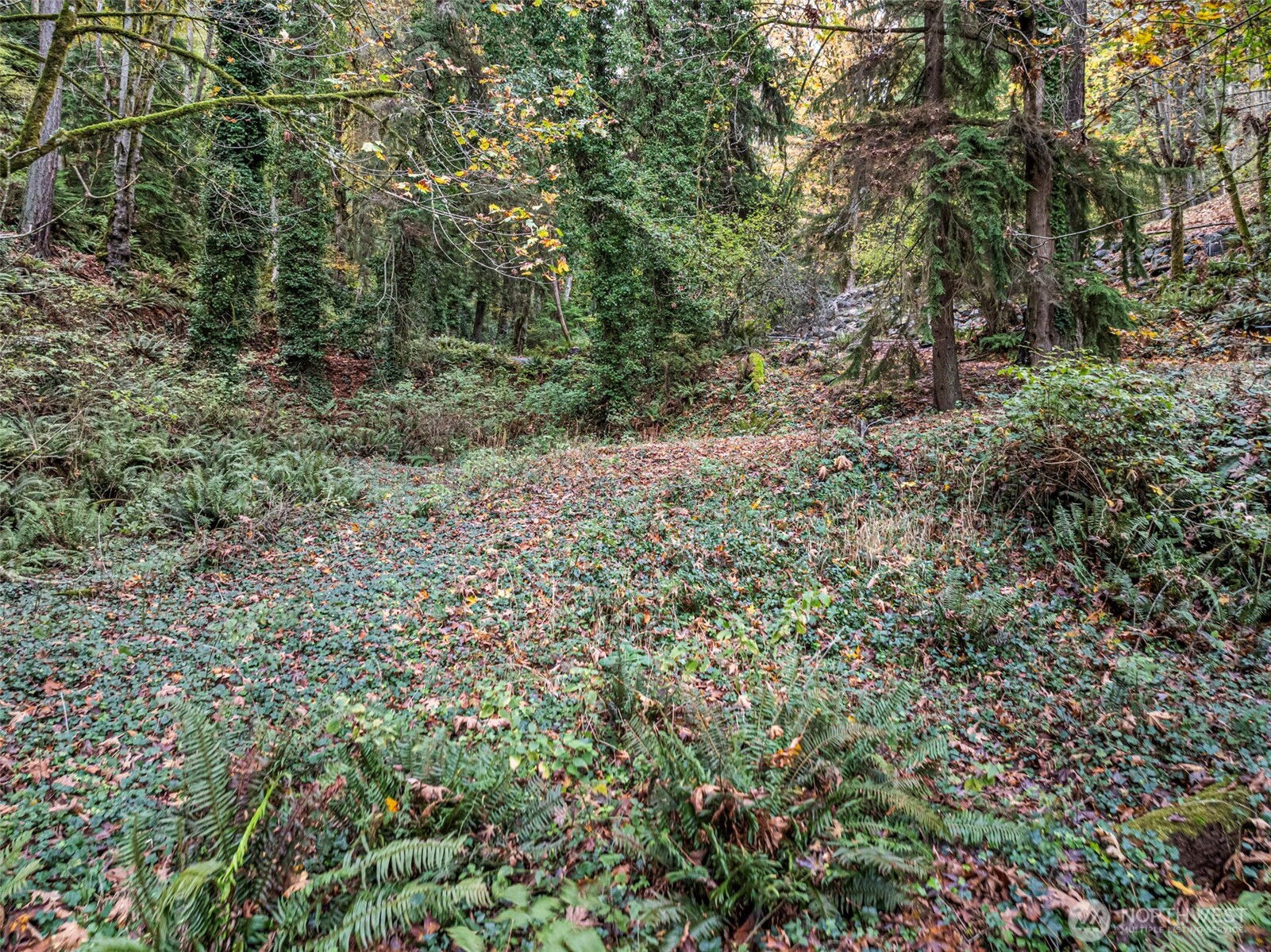 2004 Lybecker Drive NW