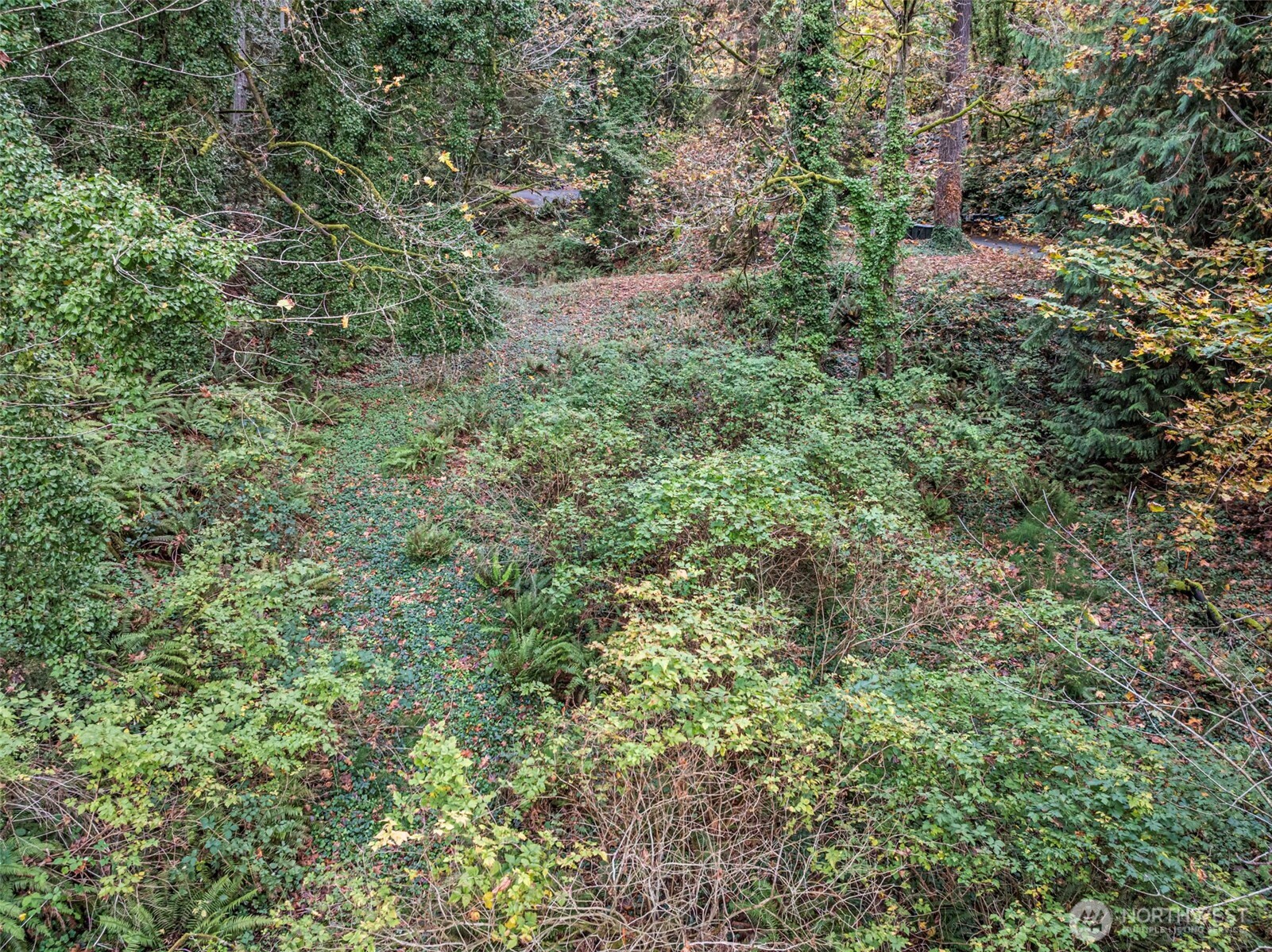 2004 Lybecker Drive NW