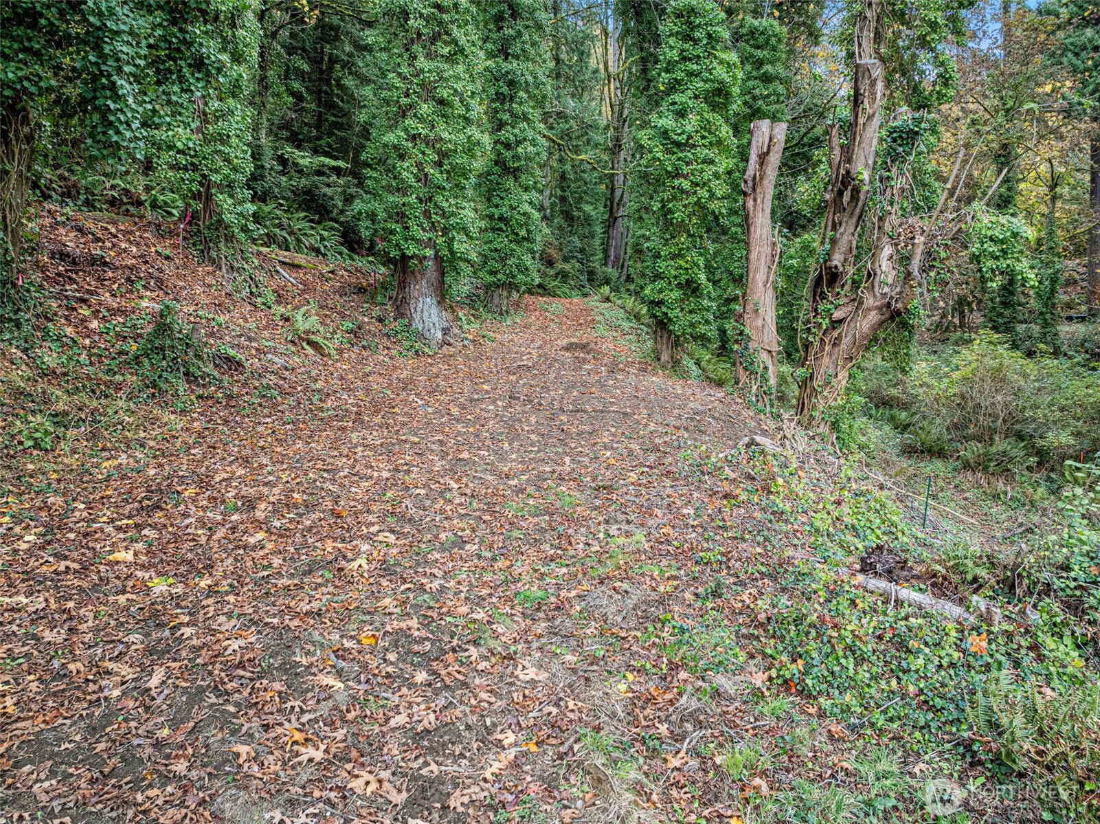 2004 Lybecker Drive NW