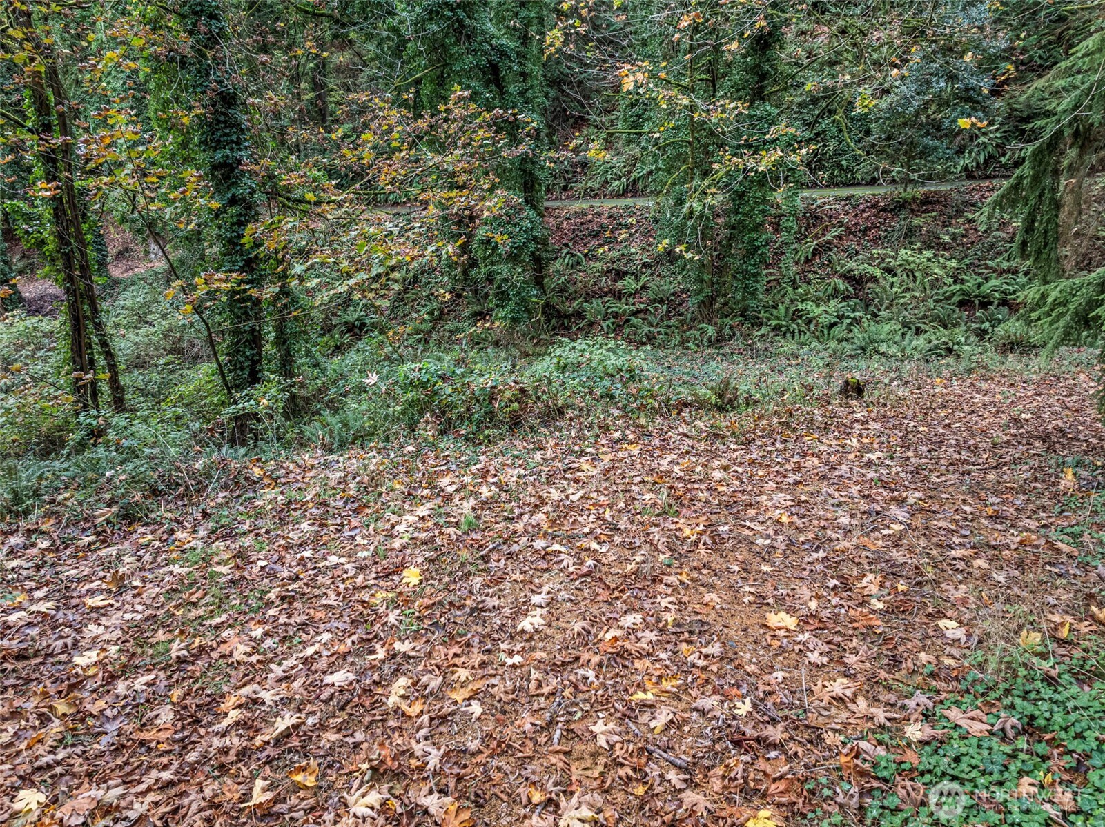 2004 Lybecker Drive NW