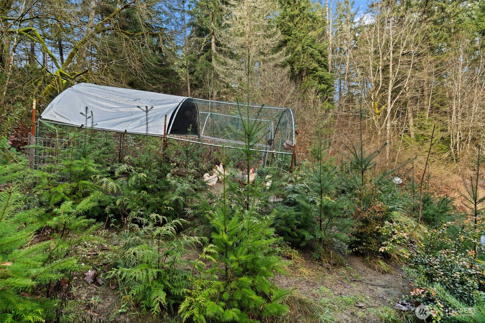 15332 Willow Road SE