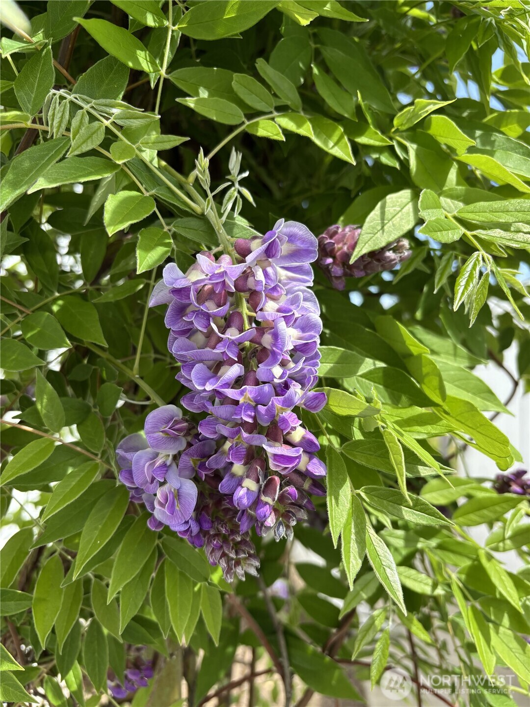 140 E Cedarland Lane