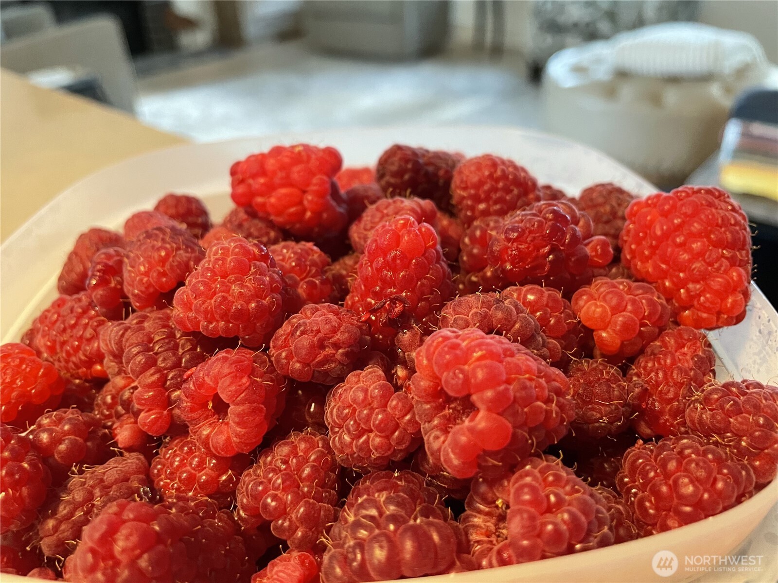 140 E Cedarland Lane