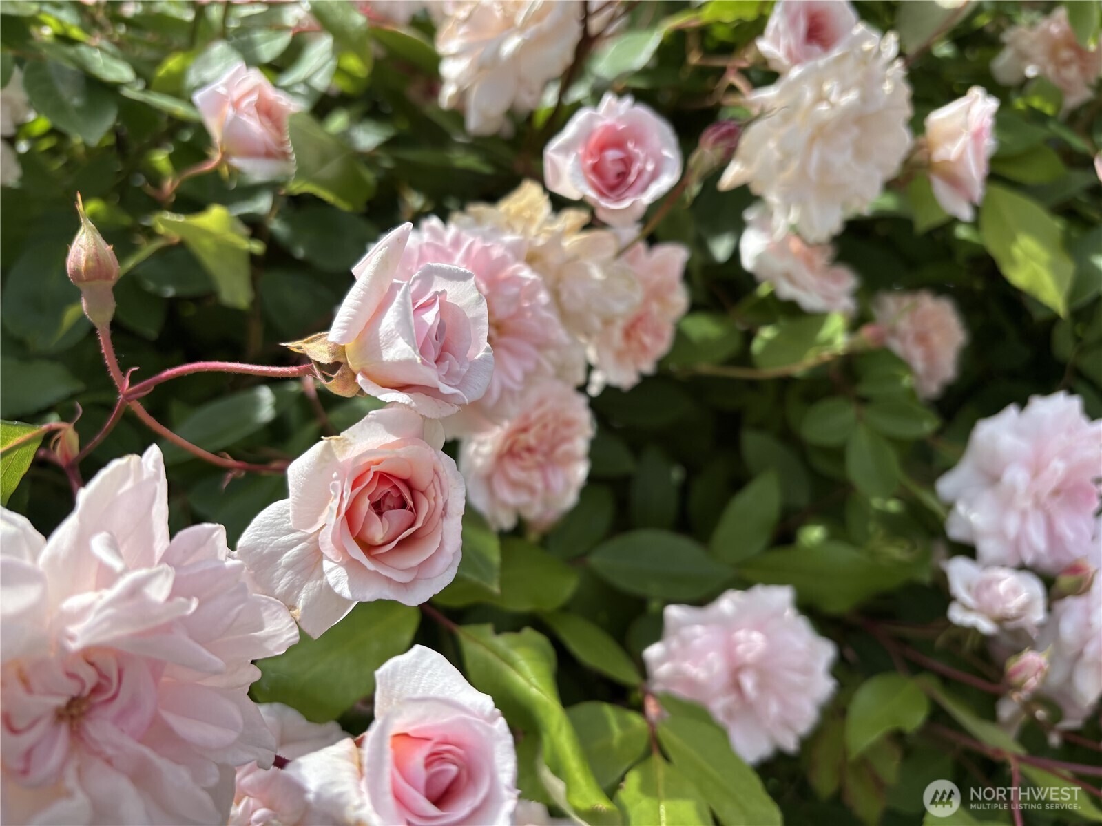 140 E Cedarland Lane