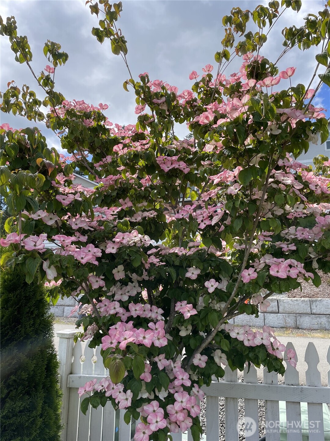 140 E Cedarland Lane