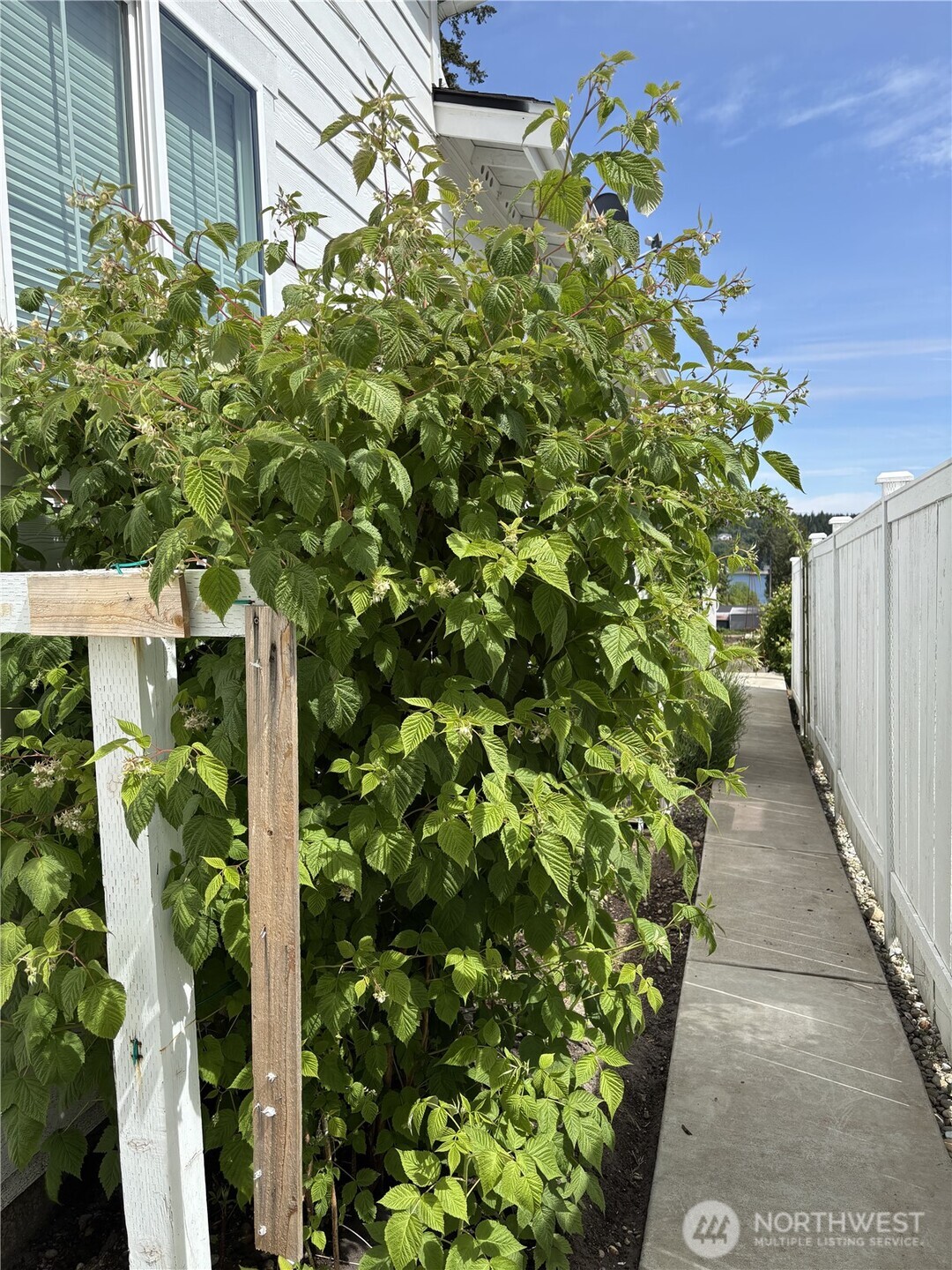 140 E Cedarland Lane