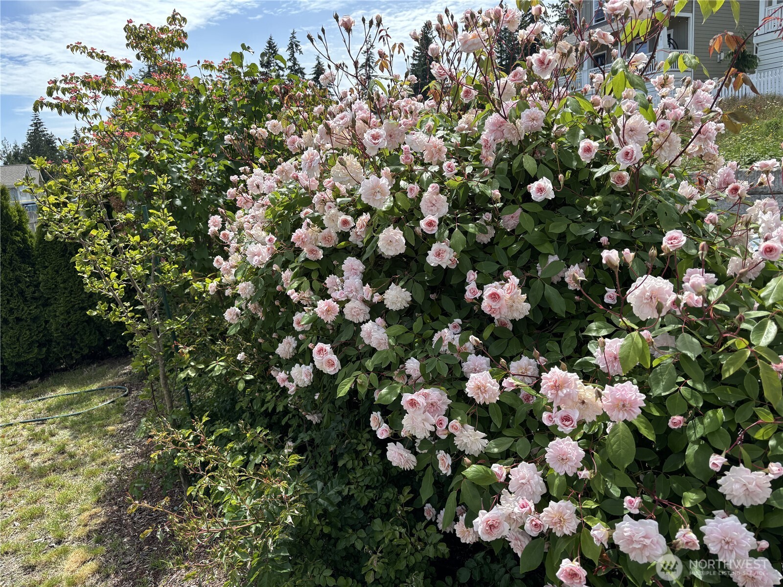 140 E Cedarland Lane