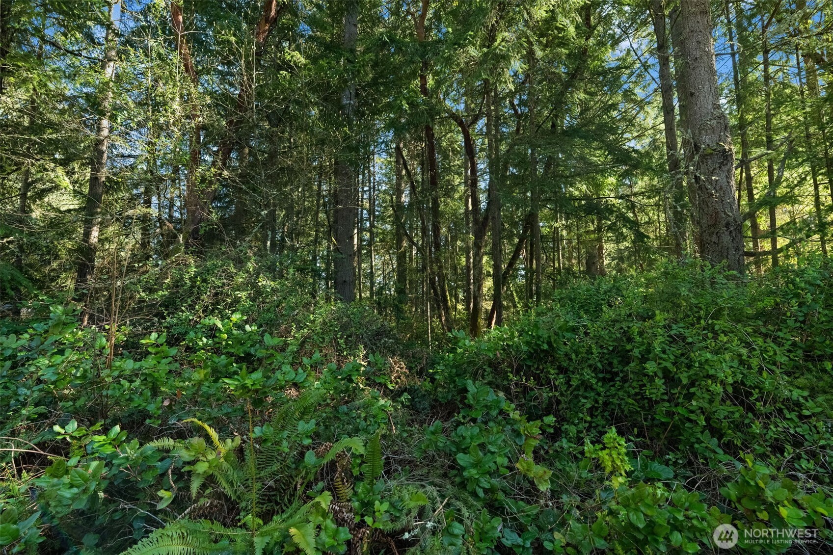 0 Lucille Parkway NW