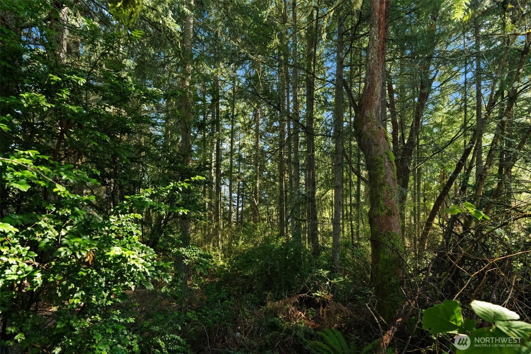 0 Lucille Parkway NW