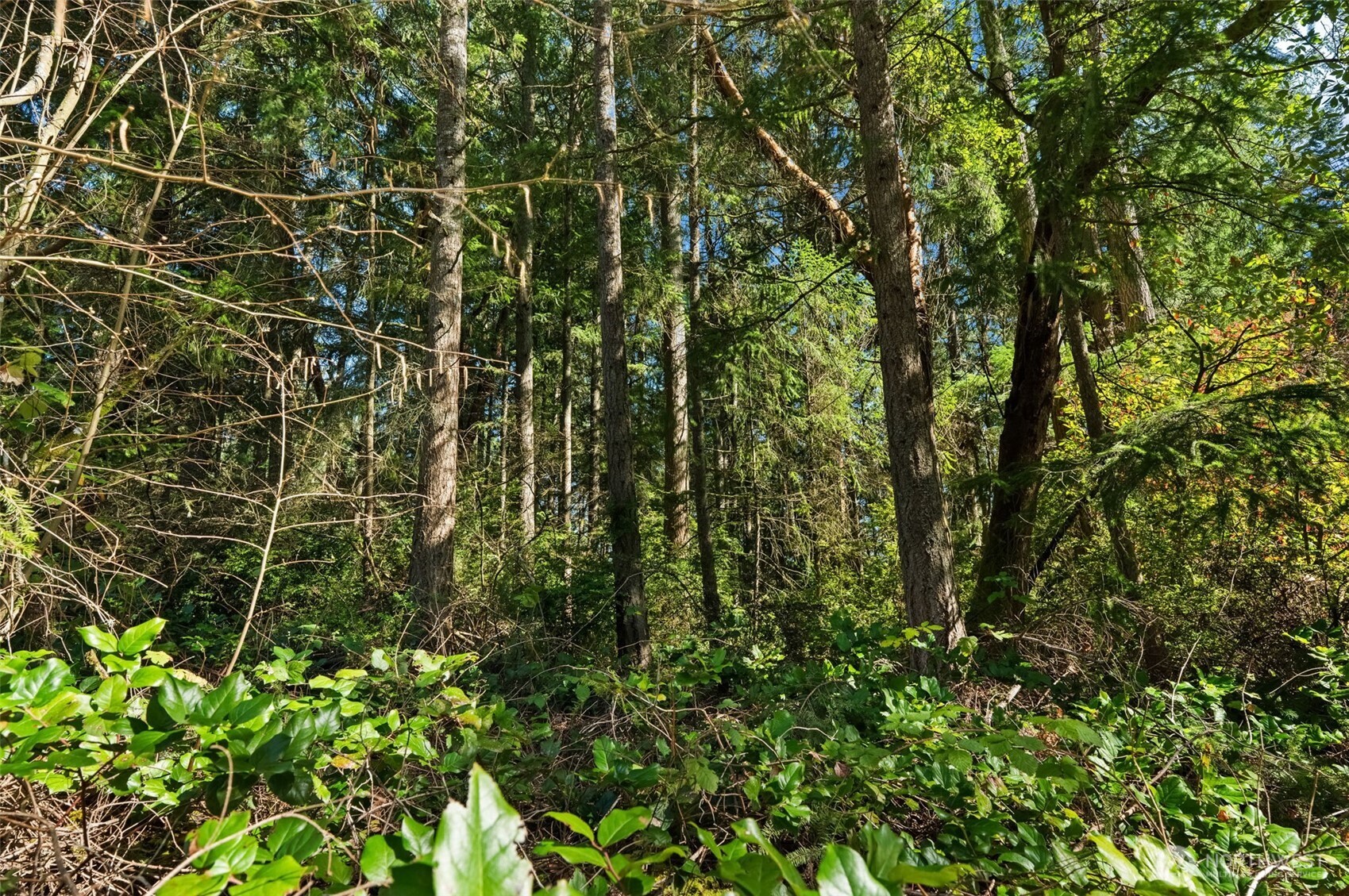 0 Lucille Parkway NW