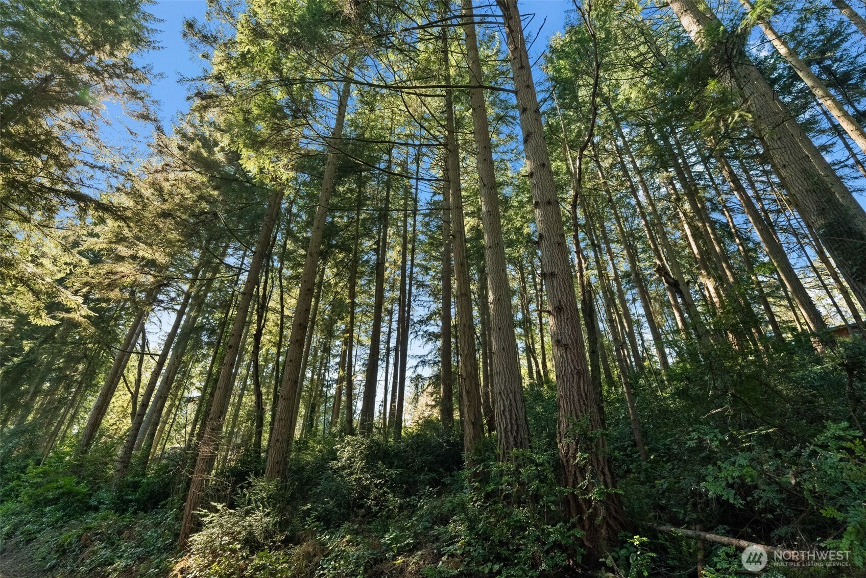 0 Lucille Parkway NW