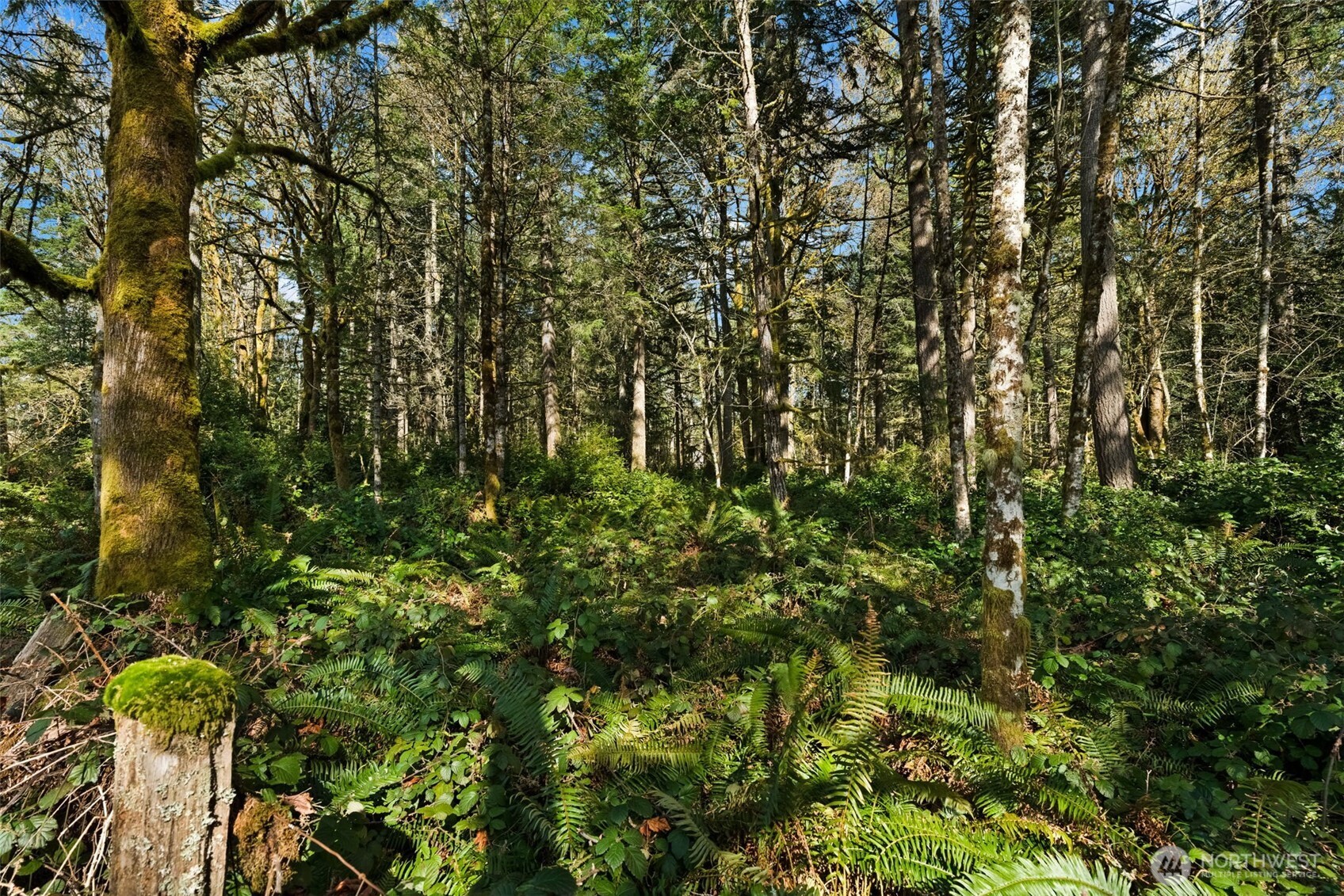 8165 Orchard Avenue SE