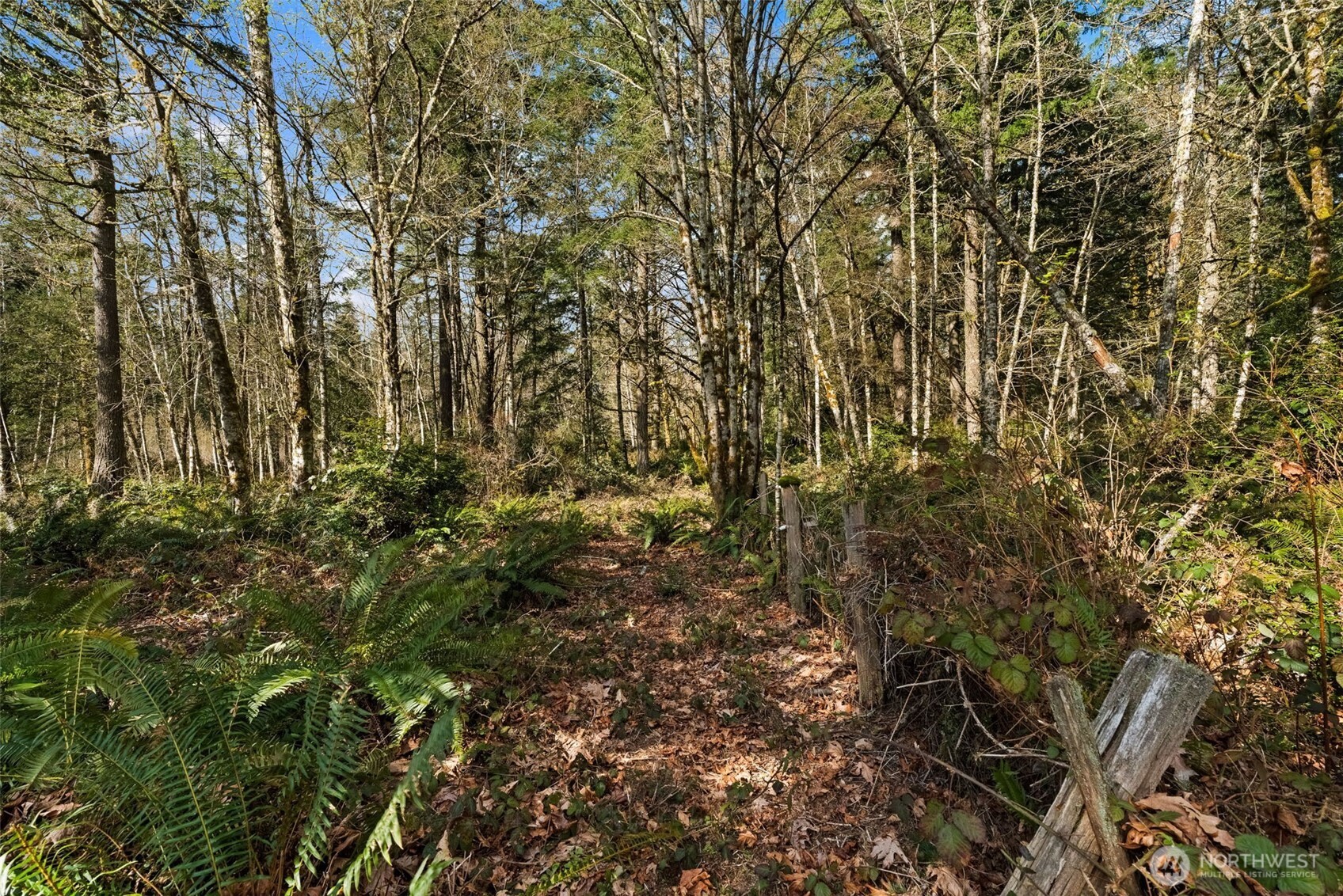 8165 Orchard Avenue SE