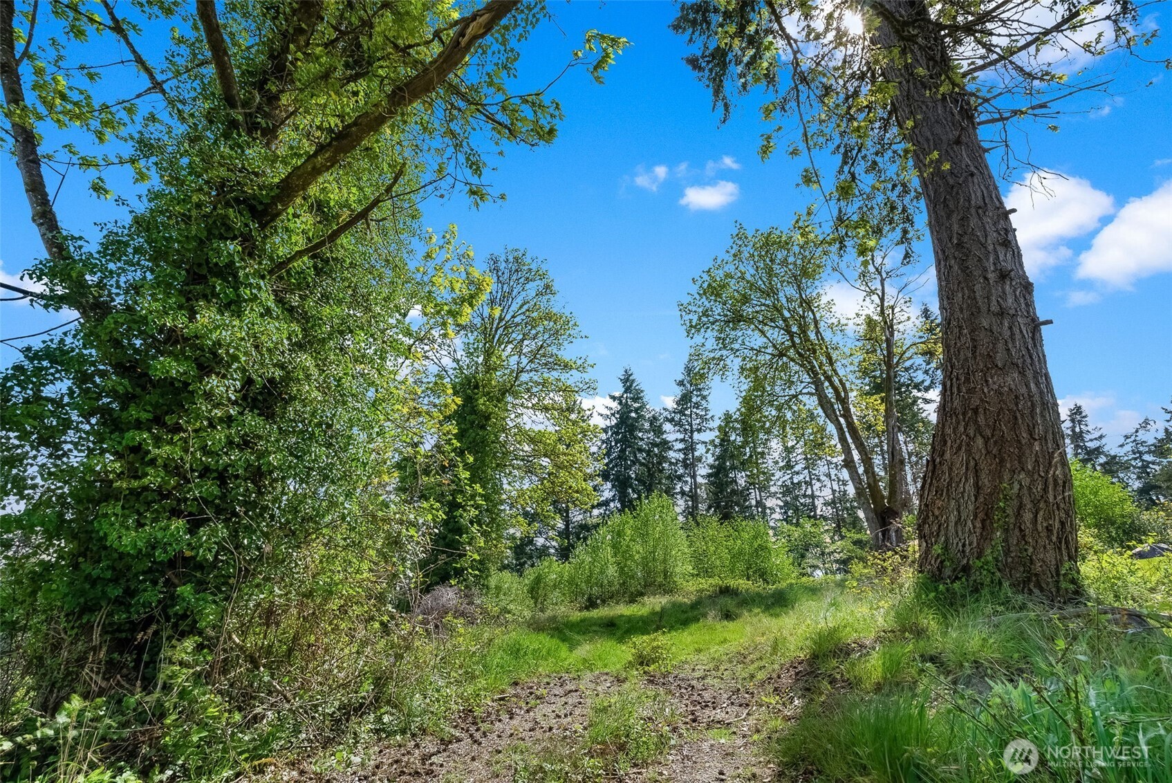 14308 Olalla Crest Lane SE