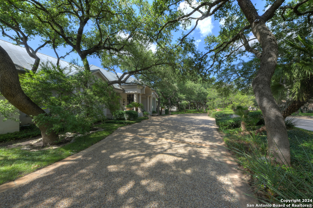 11 SANCTUARY DR