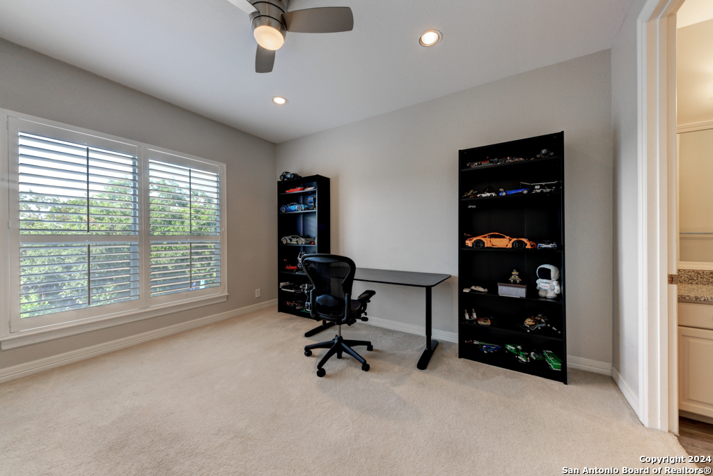 11 SANCTUARY DR